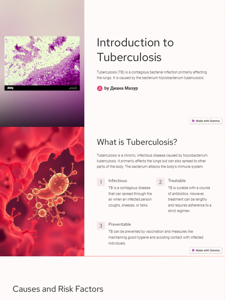 Understanding Tuberculosis Basics | PDF | Tuberculosis | Infection