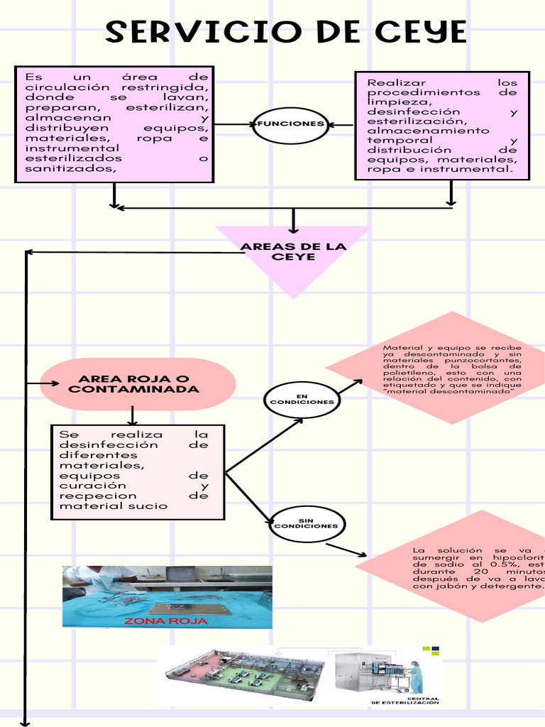 Flujograma CEYE: Áreas y Procedimientos | PDF