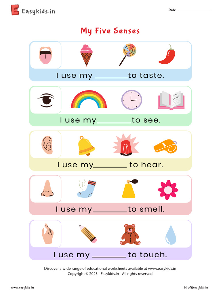 My Five Senses | PDF