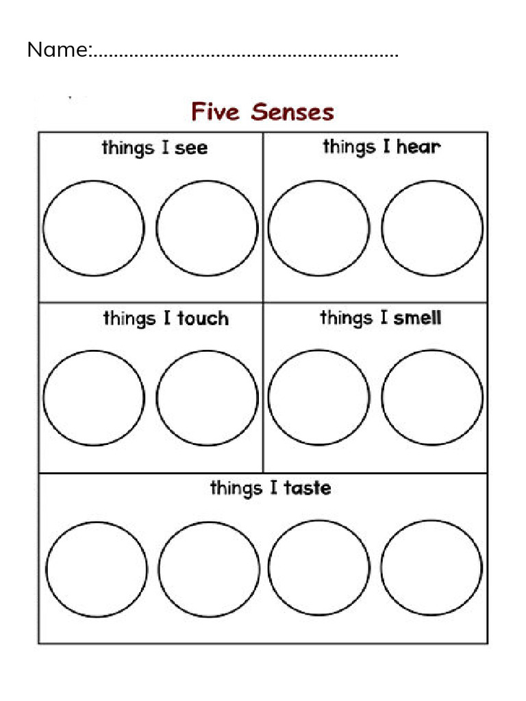 The Five Senses Pdf
