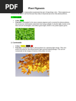 Metamorphic Rock Textures Explained | PDF | Minerals | Rock (Geology)