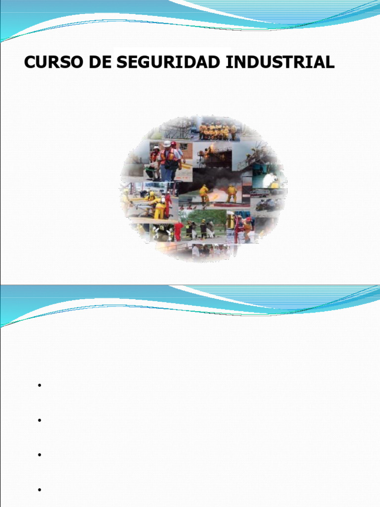 Curso de Seguridad Industrial y Normativa | PDF | Valores