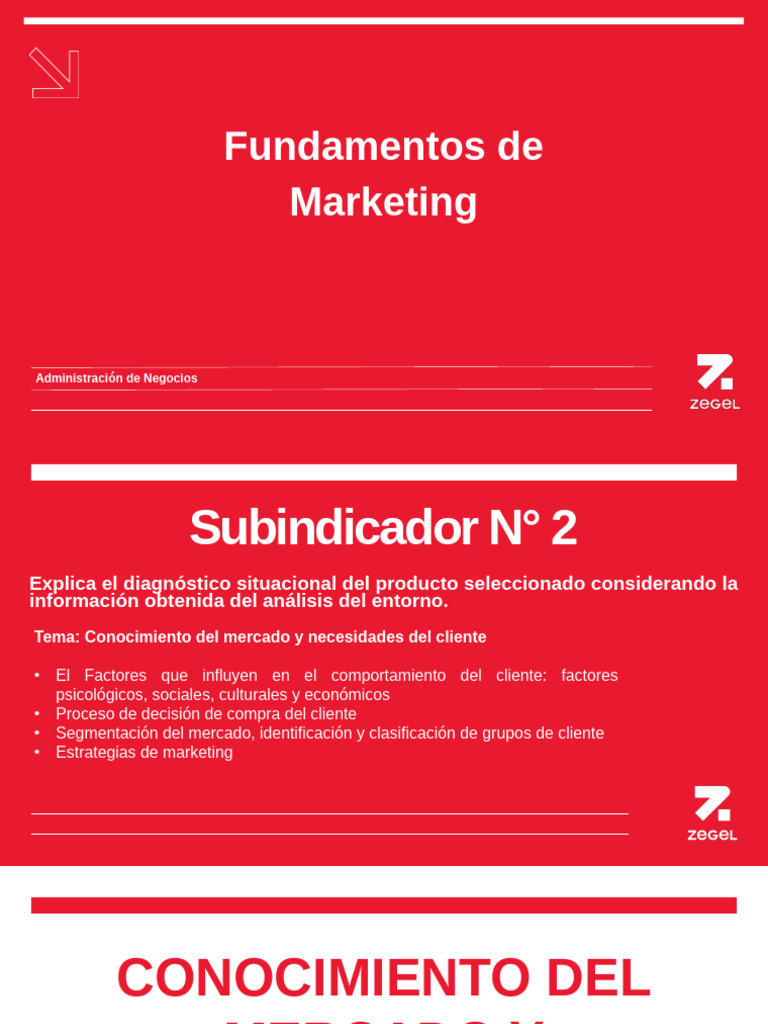 Análisis del Comportamiento del Cliente | PDF | Segmentación de mercado ...