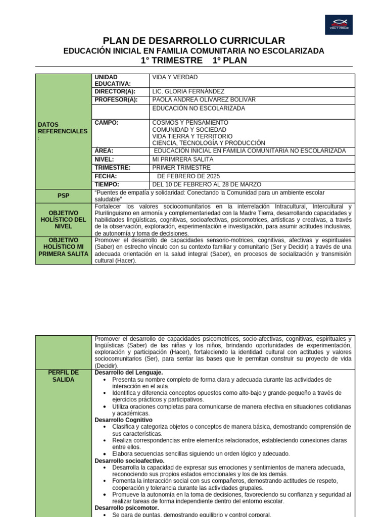 Plan Curricular Educación Inicial 2025 | PDF | Educación de la primera ...
