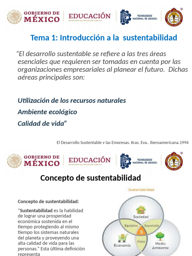 Introducción a la sustentabilidad | PDF | Sustentabilidad | Entorno natural