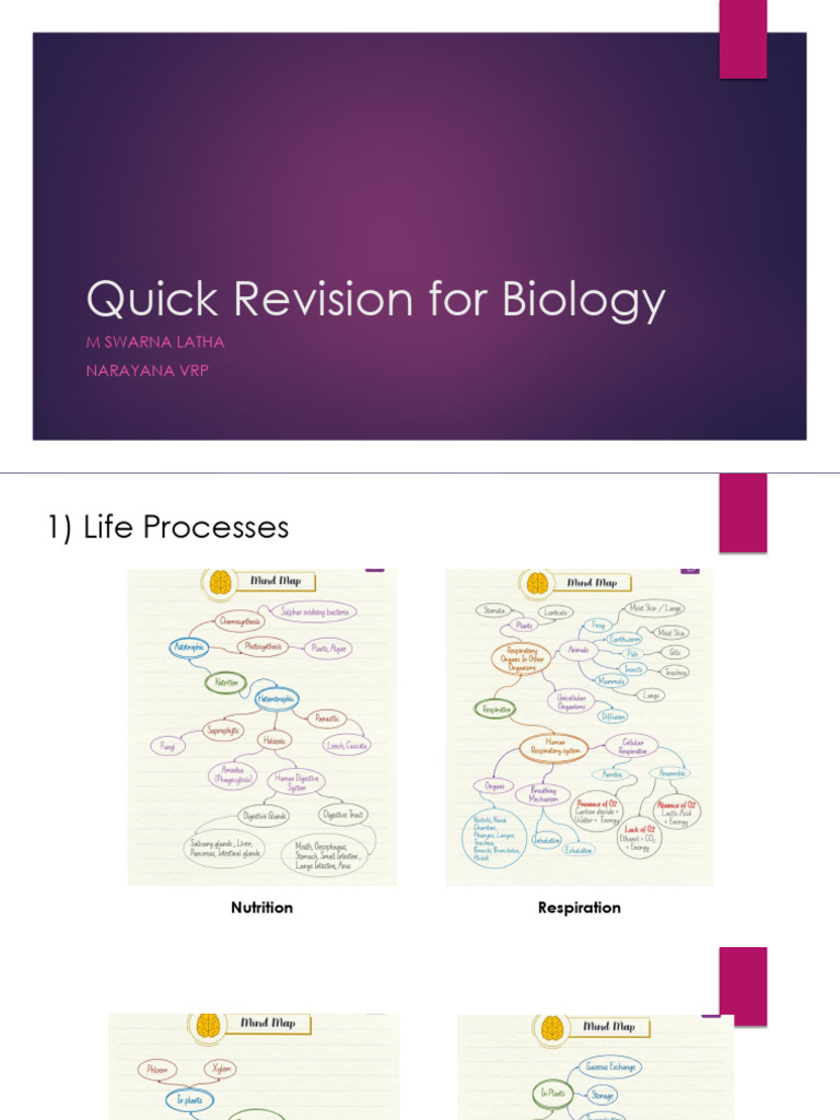 Biology Quick Revision Guide | PDF