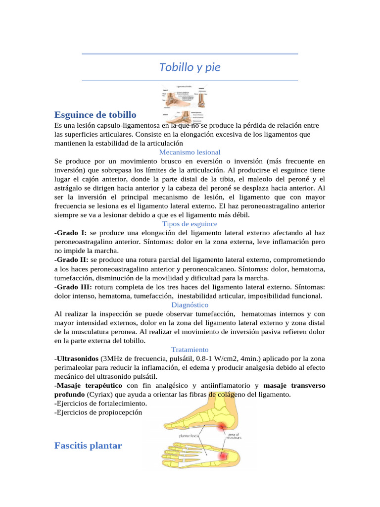 Tobillo y Pi1 - 085022 | PDF | Pie | Tobillo