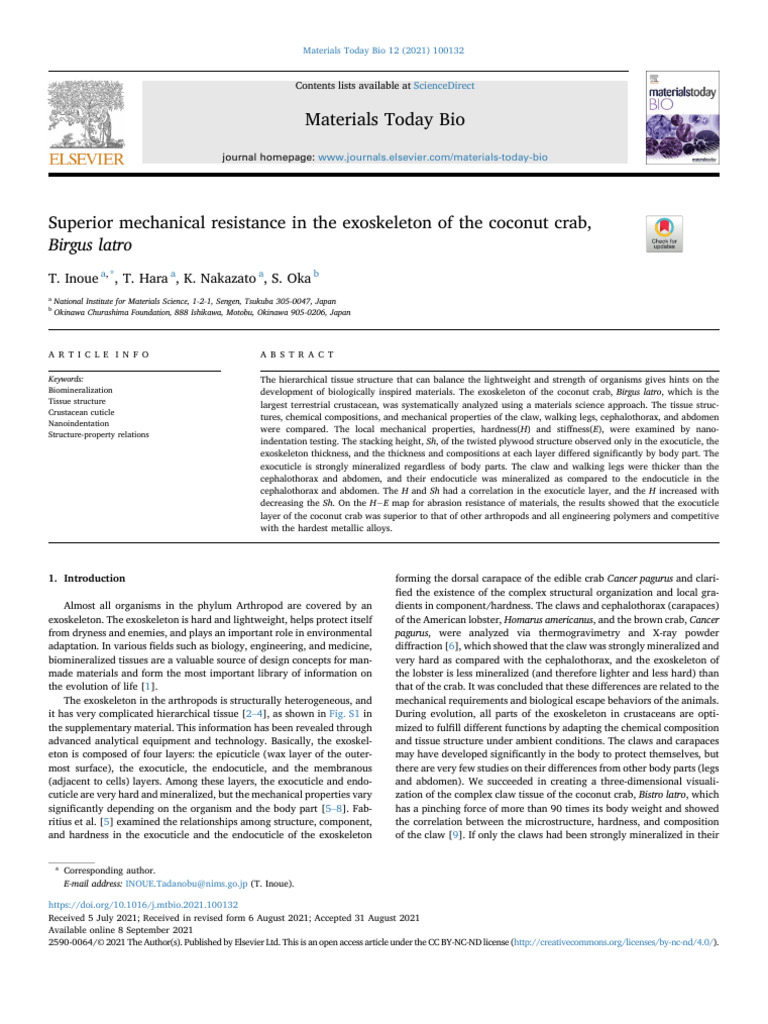 Superior Mechanical Resistance in The Exoskeleton | PDF | Energy ...