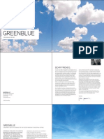 2008 GreenBlue Annual Report