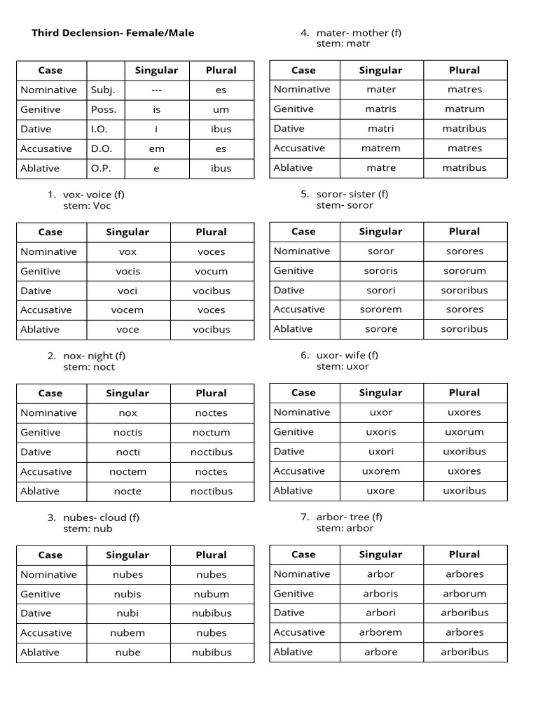 4 - Third Declension - Male - Female | PDF | Syntax | Linguistic Typology