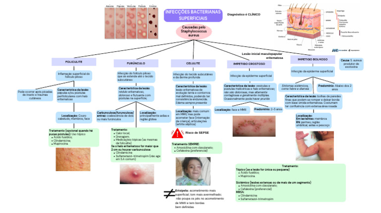 Infecções Bacterianas por Staphylococcus aureus | PDF | Doenças e ...