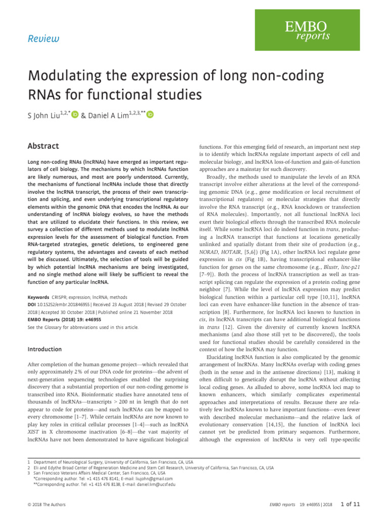 Modulating Long Non-Coding RNA Expression | PDF | Gene Expression ...