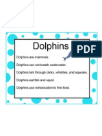 Dolphin Info