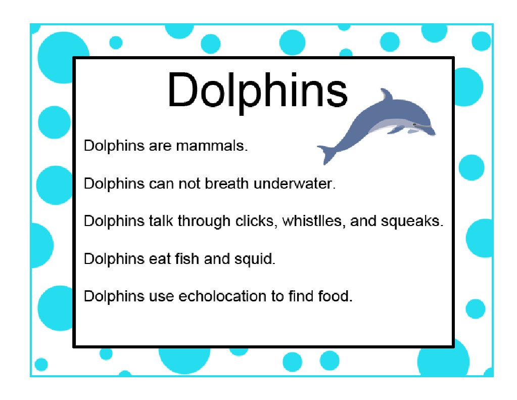 Dolphin Info | PDF