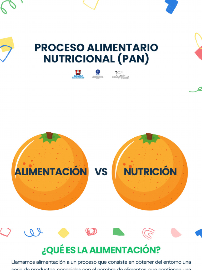 Proceso Alimentario Nutricional | PDF