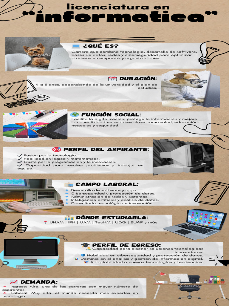 Carrera en Informática: Oportunidades y Perfil | PDF