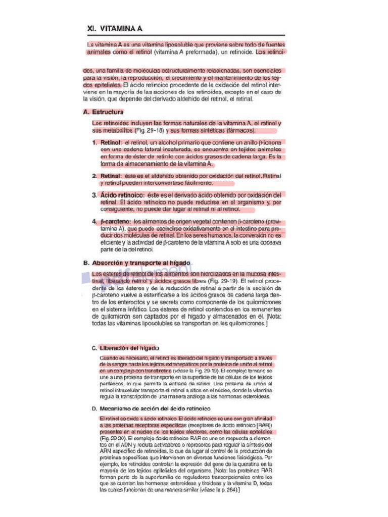 Vitamina A Pdf