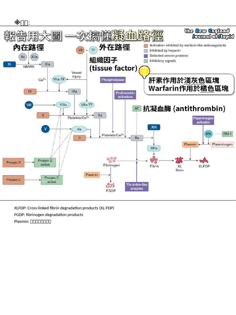 凝血、血小板、血癌分類| PDF