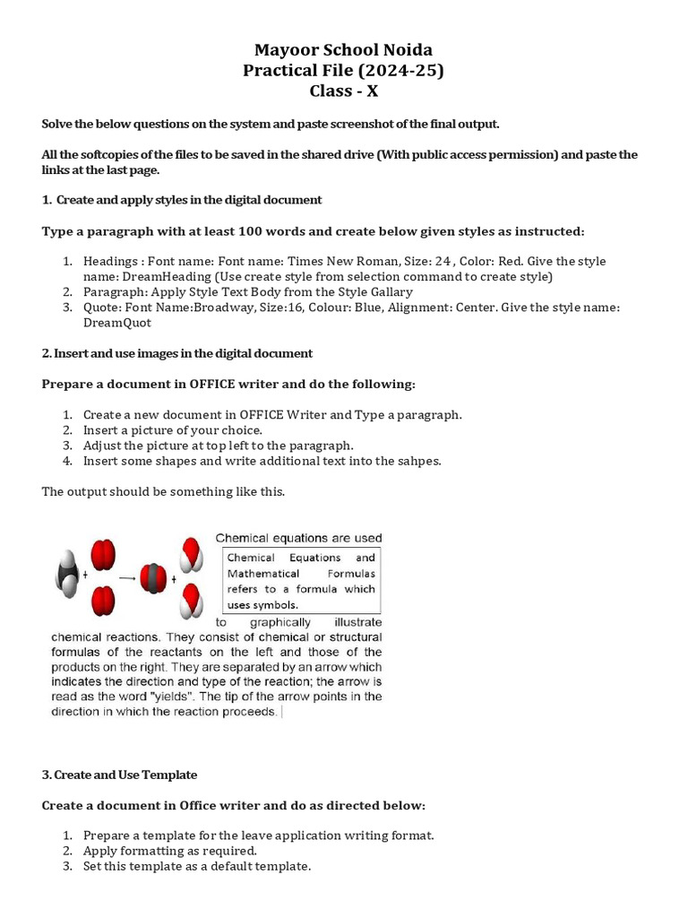 It practical file class x pdf spreadsheet worksheet