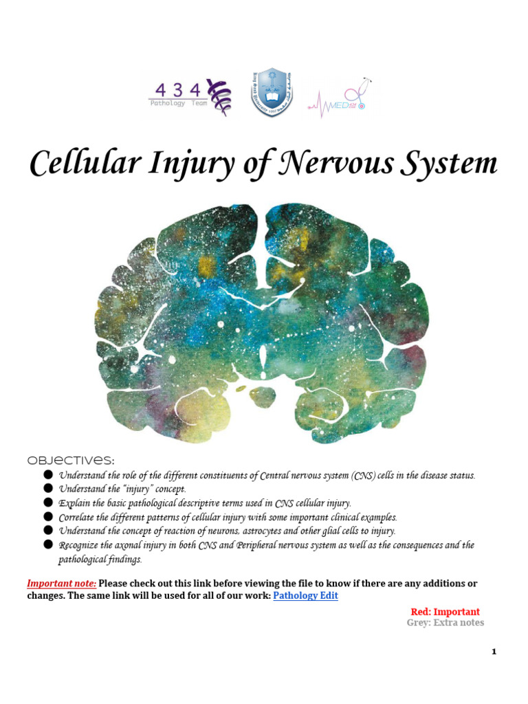 CNS Cellular Injury and Repair Mechanisms | PDF | Myelin | Axon