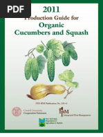 Download Butternut Squash 2011 Production Guide Cucurbit by daddygameli SN82908066 doc pdf