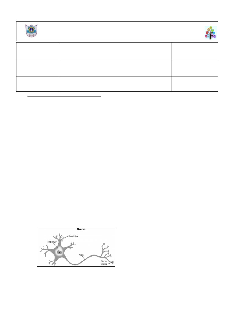 Control and Coordination in Plants and Animals | PDF | Neuron | Action ...