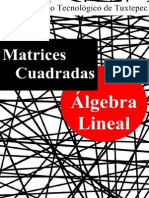 Definicion de Tipos de Matrices Cuadradas