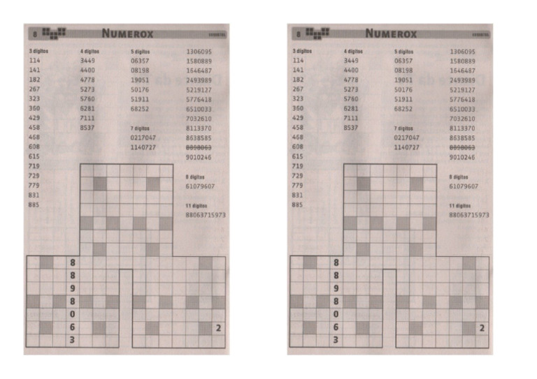 NUMEROX | PDF