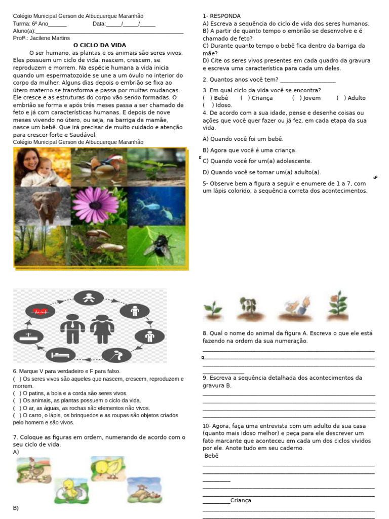 Atividades sobre o Ciclo da Vida | PDF | Vida | Humano