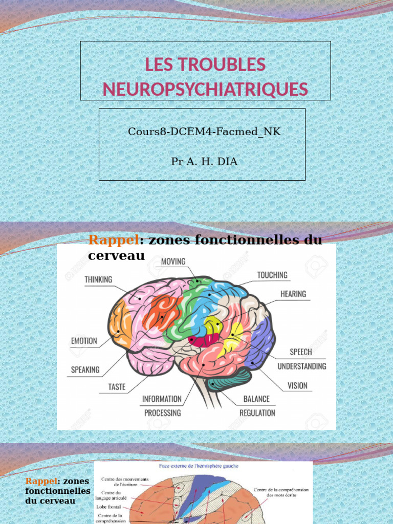 Troubles neuropsychiatriques et démences | PDF | Démence | Maladie d ...