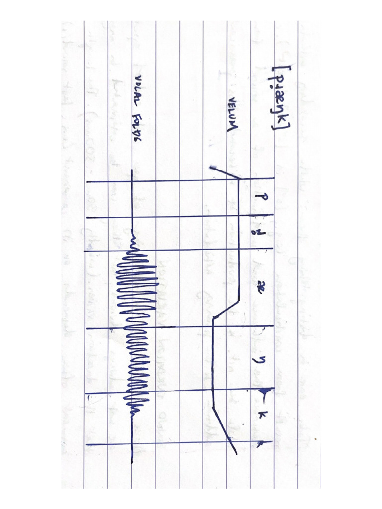 Phonological Velar Chart of A Word | PDF