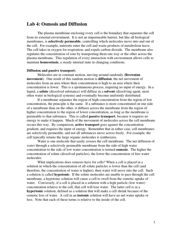 Osmosis and Diffusion Lab Experiment | PDF | Osmosis | Cell Membrane