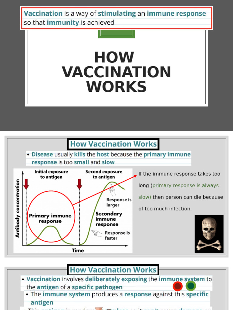 Understanding Vaccination Basics | PDF | Infection | Vaccines
