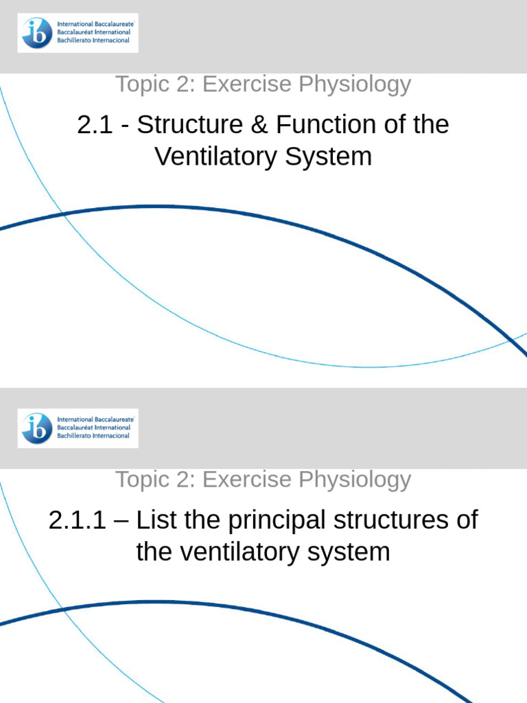 Ventilatory System Structure & Function | PDF | Exhalation ...