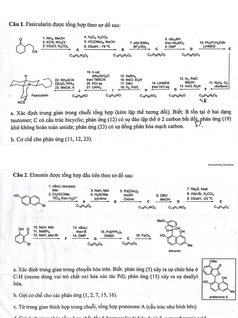 CHU_E1_BB_96I_20TH_E1_BA_A6Y_20T_C3_9A_202022 | PDF