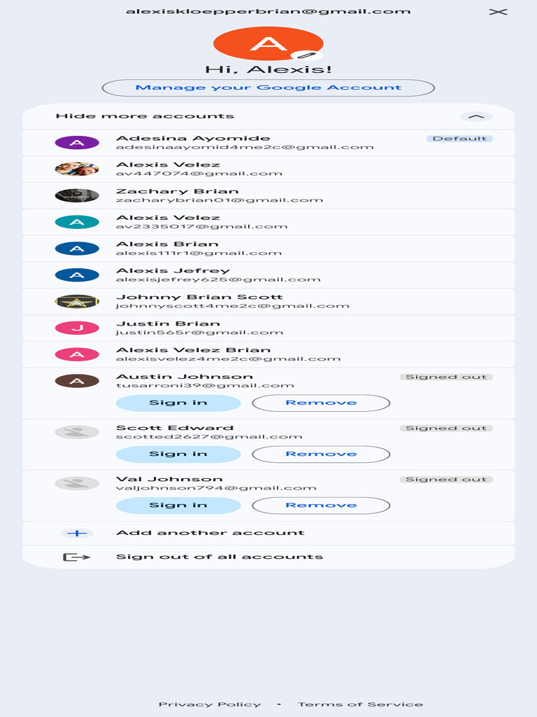 Manage Google Account Privacy Settings | PDF | Privacy | Security