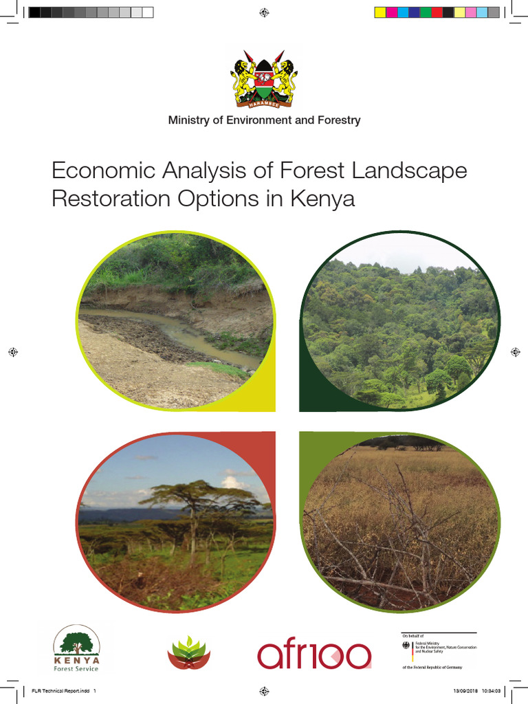 Economic Analysis of Forest Restoration in Kenya | PDF | Environmental ...