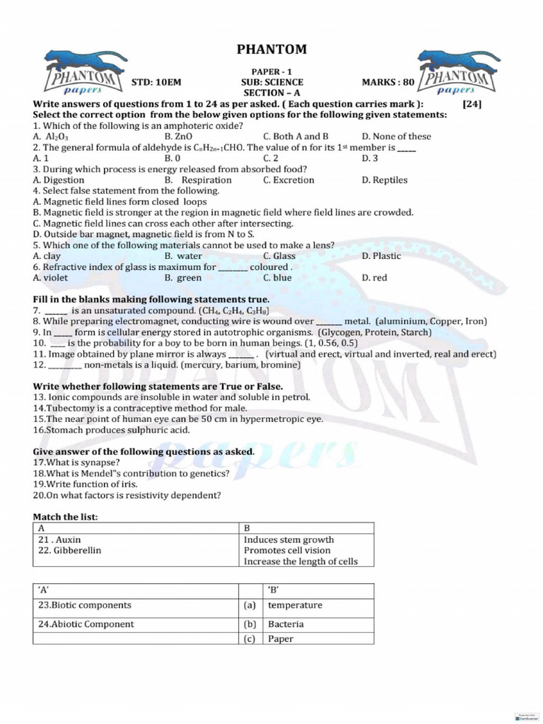 Phantom Paperset 10th Eng Medium | PDF