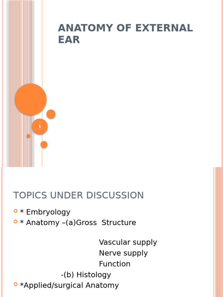 External Ear Anatomy and Embryology | PDF | Ear | Human Head And Neck