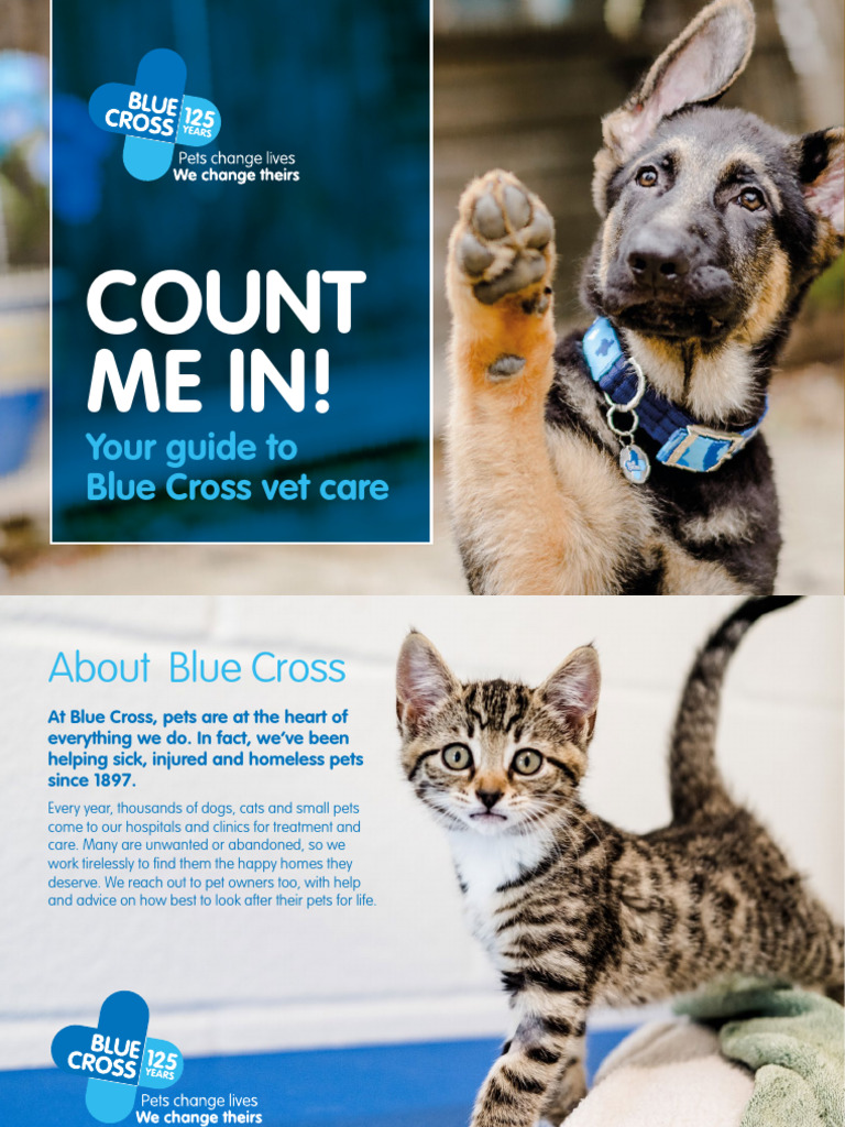Client Welcome Pack 2022 | PDF | Contractual Term | Insurance