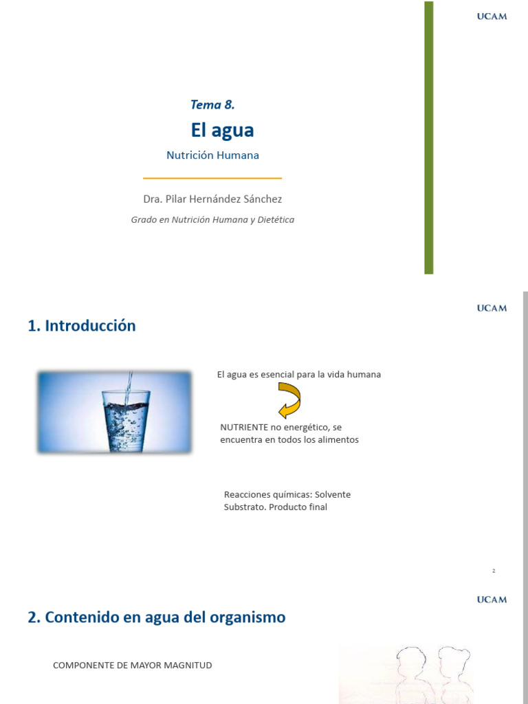 Importancia del Agua en el Cuerpo Humano | PDF | Sodio | Agua