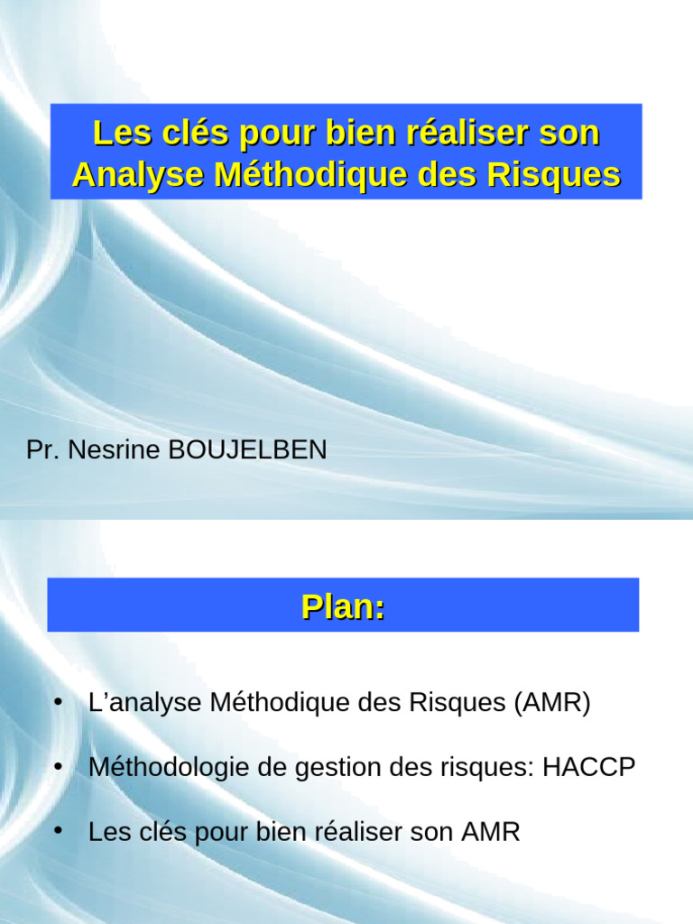 Clés pour réussir l'Analyse des Risques | PDF | Analyse des dangers et ...