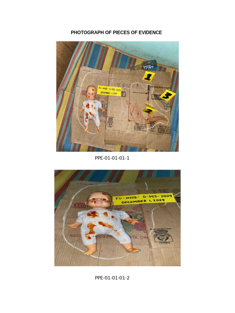 Photograph of Pieces of Evidence PDF