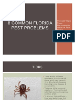 8 Common Florida Pest Problems - Prevent Them From Becoming An Issue in Your Home