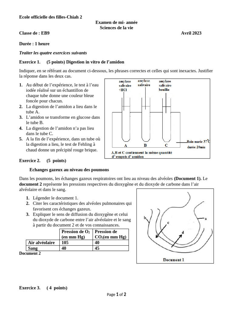 Examen de biologie EB9 - Avril 2023 | PDF | Respiration