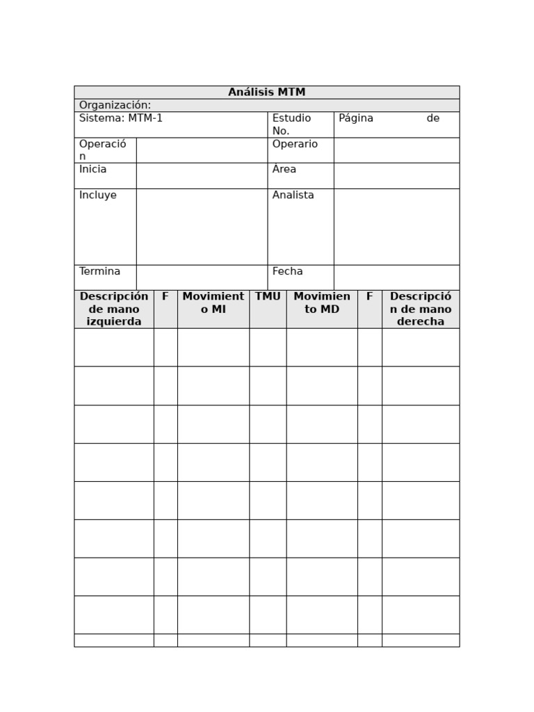 Formato MTM-1 F1 | PDF