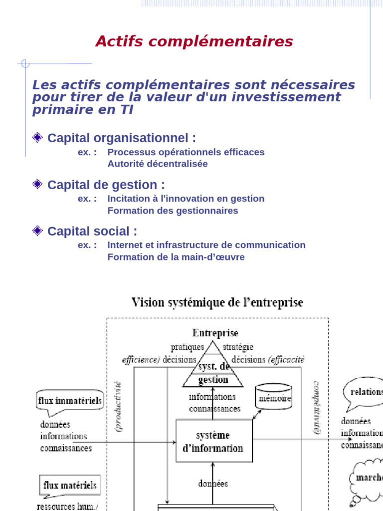 Actifs Complémentaires en Systèmes d'Information | PDF ...
