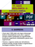 11.METABOLISMOA2_anaya