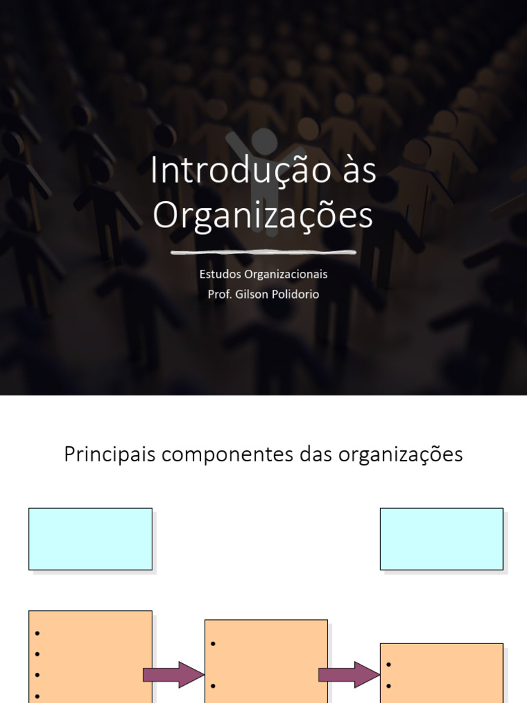 introdu-o-s-organiza-es-e-gest-o-pdf-sociedade-economias