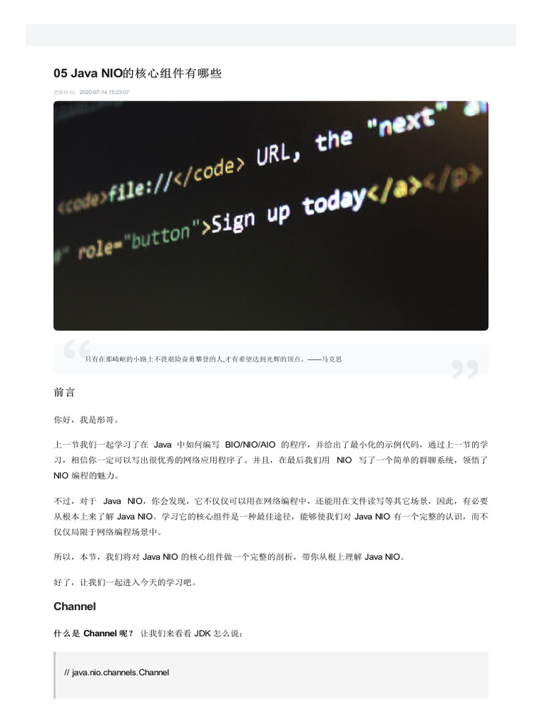05 Java NIO的核心组件有哪些慕课专栏| PDF